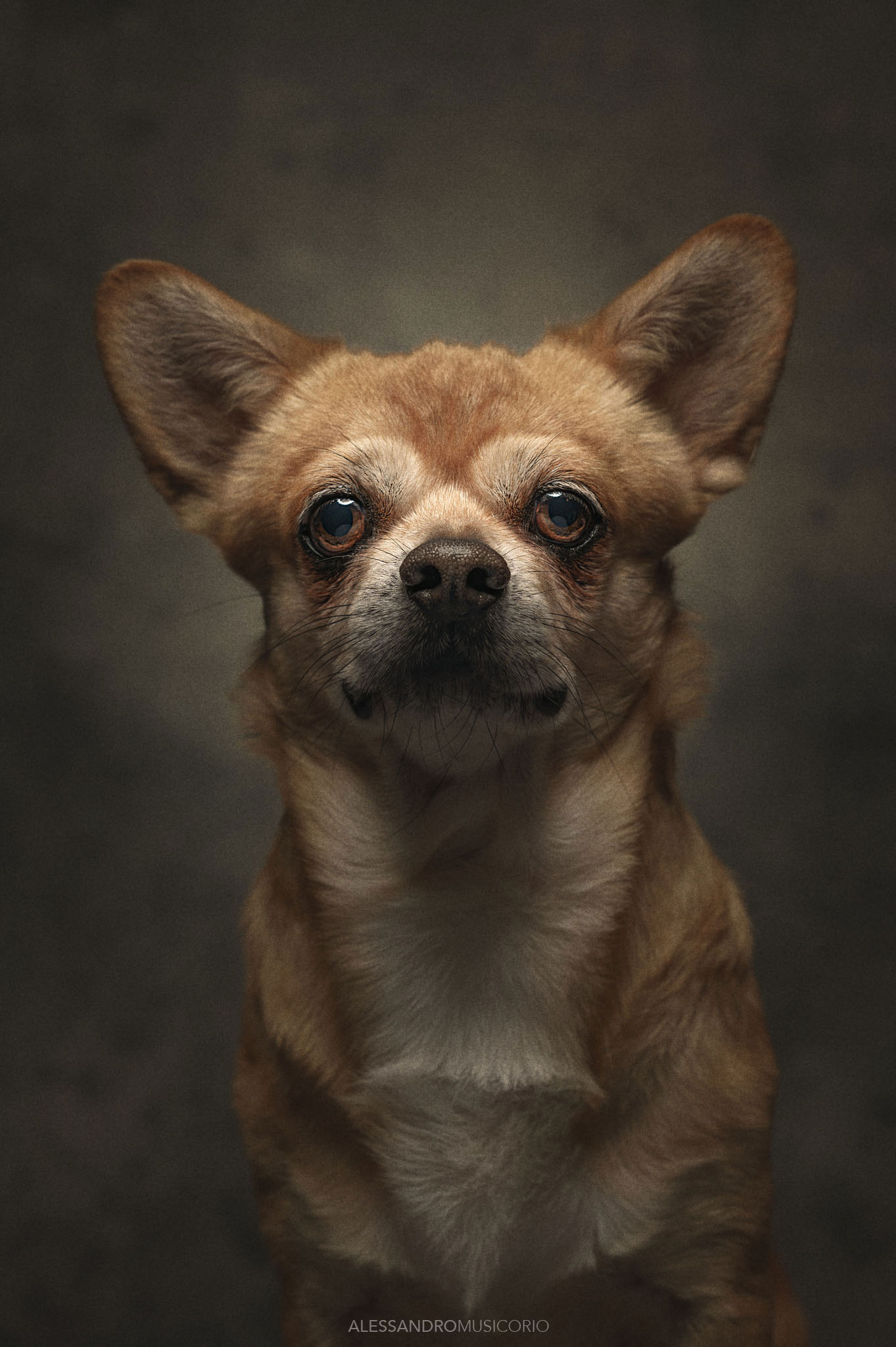 Rubio